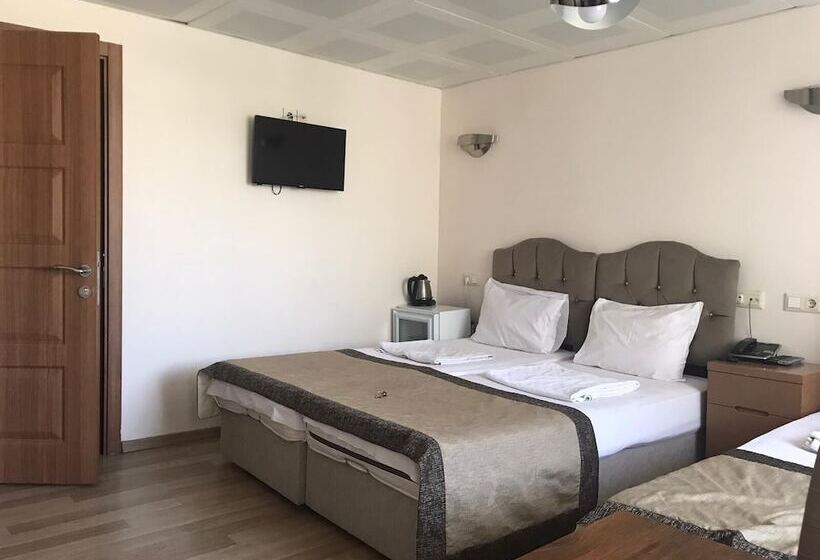 Fotos del hotel Milano  & Spa:  6