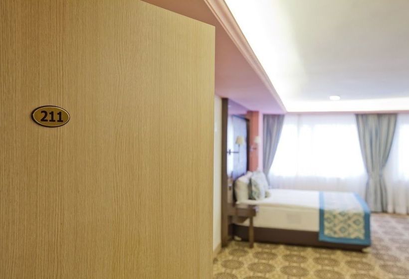 Fotos del hotel Celikhan:  2