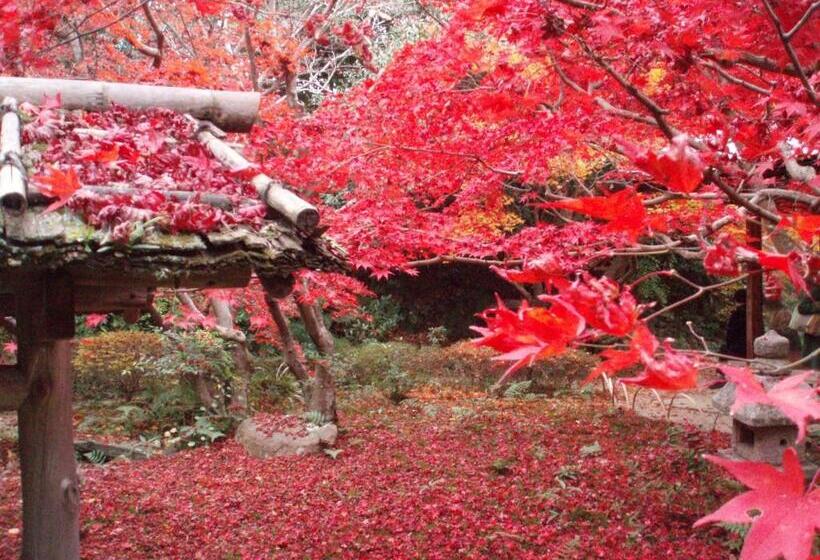 Fotos del hotel Kamuroan:  9