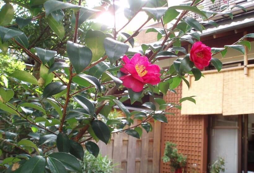 Fotos del hotel Kamuroan:  10