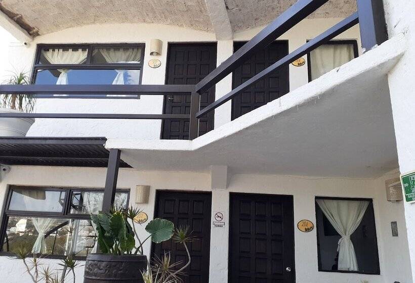 Fotos del hotel Casa Blanca San Miguel:  7