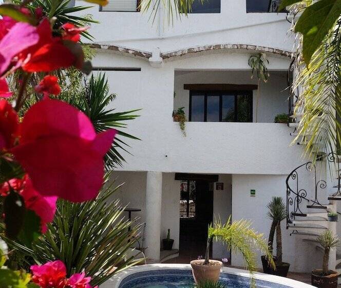 Fotos del hotel Casa Blanca San Miguel:  12