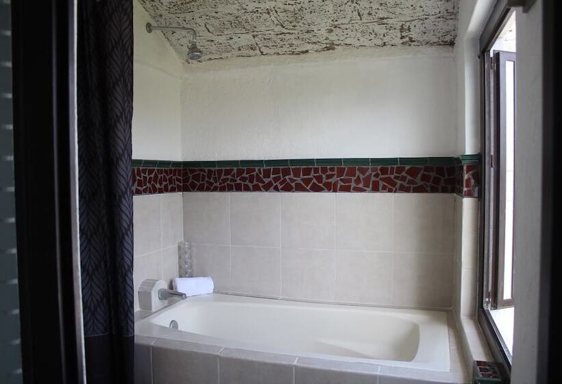 Fotos del hotel Casa Blanca San Miguel:  18