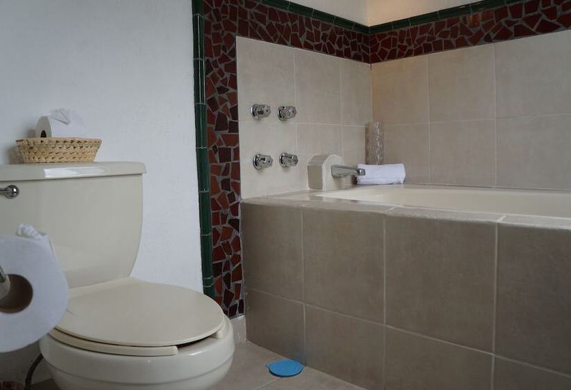 Fotos del hotel Casa Blanca San Miguel:  11