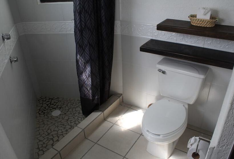 Fotos del hotel Casa Blanca San Miguel:  5