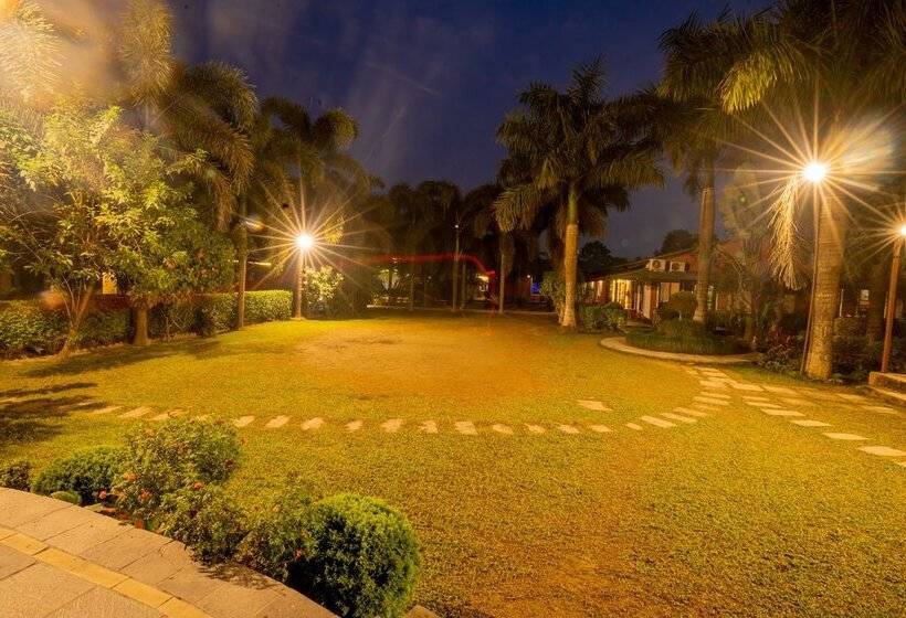 Fotos del hotel Jungle Crown:  6