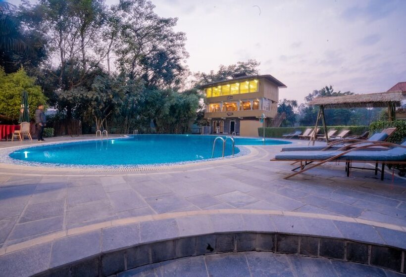 Fotos del hotel Jungle Crown:  11