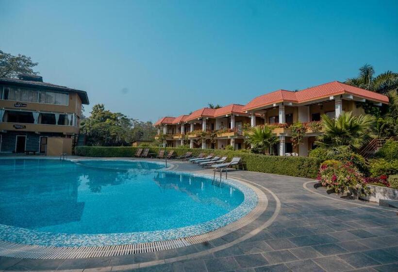 Fotos del hotel Jungle Crown:  13