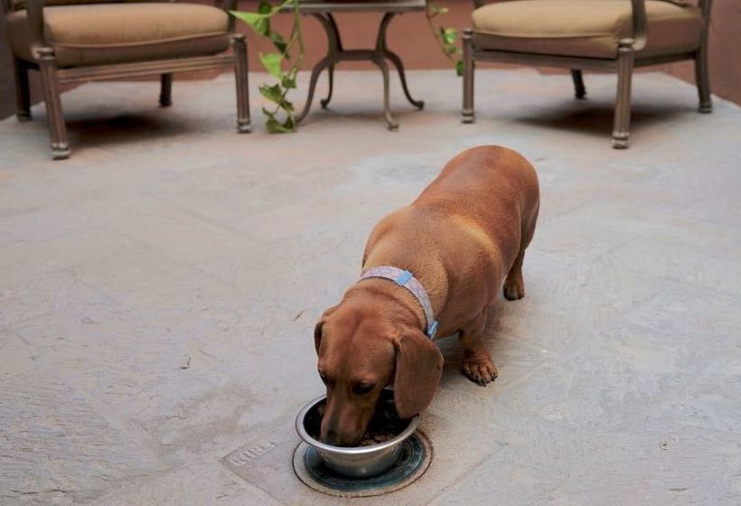 Fotos del hotel Tadeo Inn Bed & Breakfast:  2