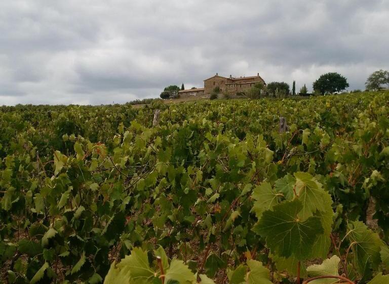 Fotos del hotel Podere Del Vescovo:  12