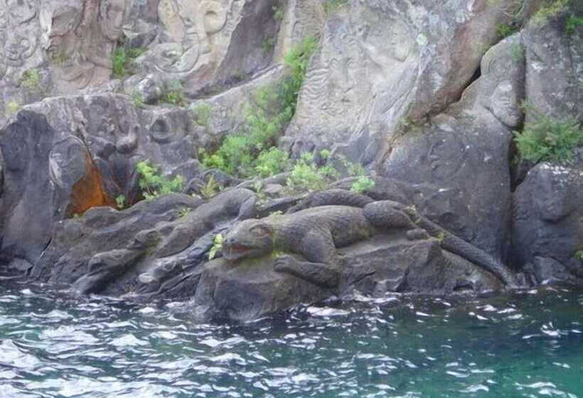 Fotos del hotel Bellevue Boutique Lodge:  3