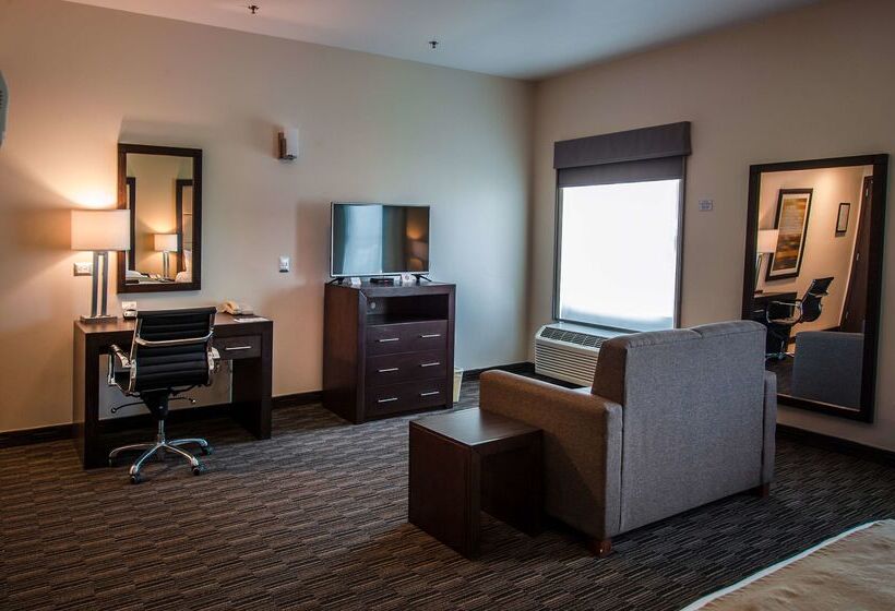 Fotos del hotel Best Western Plus Chihuahua Juventud:  23