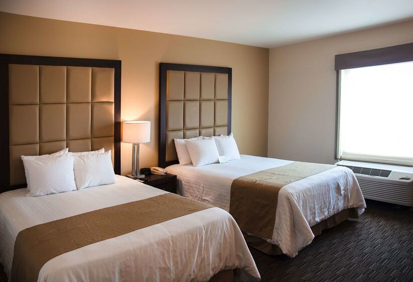 Fotos del hotel Best Western Plus Chihuahua Juventud:  20