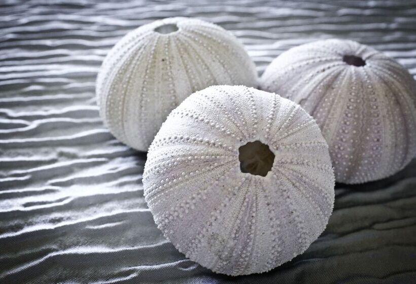 Fotos del hotel Caranabeach:  4