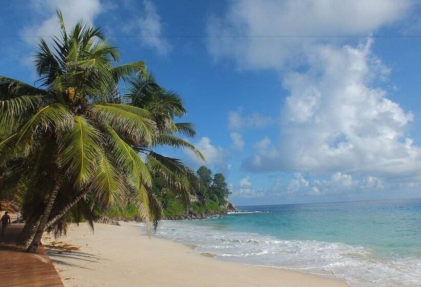 Fotos del hotel Caranabeach:  20