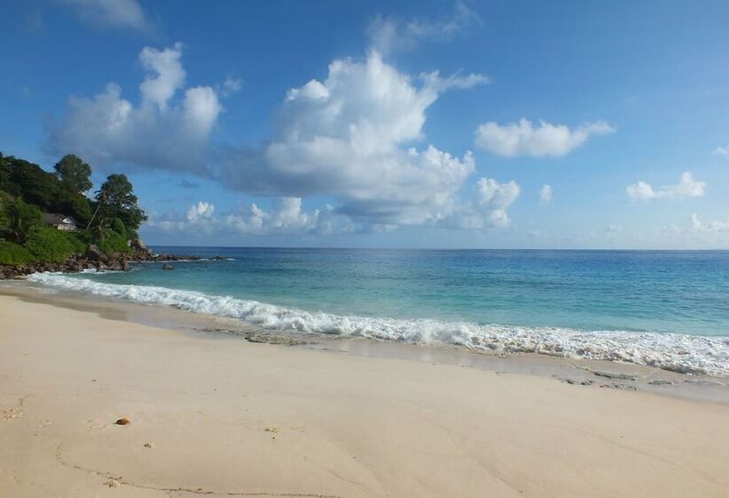 Fotos del hotel Caranabeach:  9