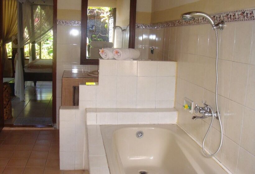 Fotos del hotel Puri Asri Villa:  5