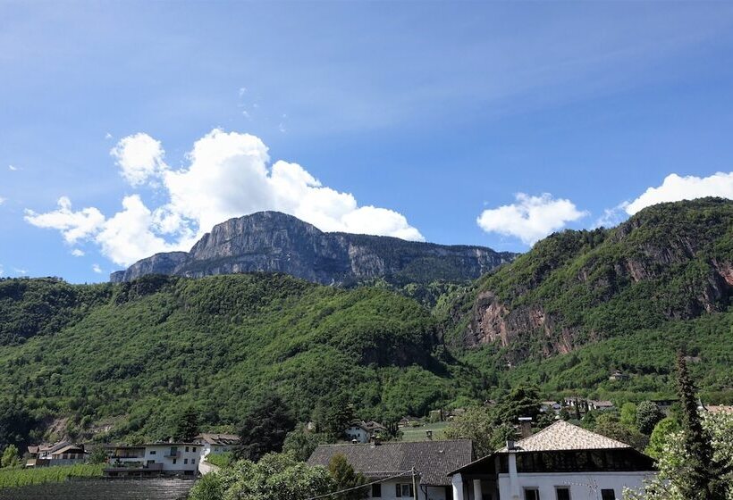 Fotos del hotel Stamserhof:  18