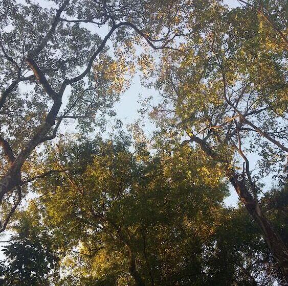 Fotos del hotel Kelta Hotel - Iguazú:  7