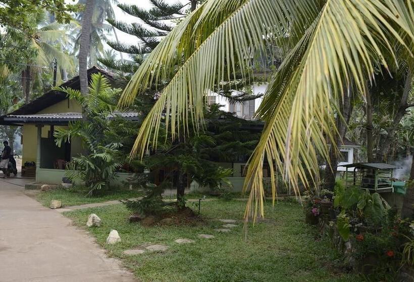 Fotos del hotel Traveller S Home:  23