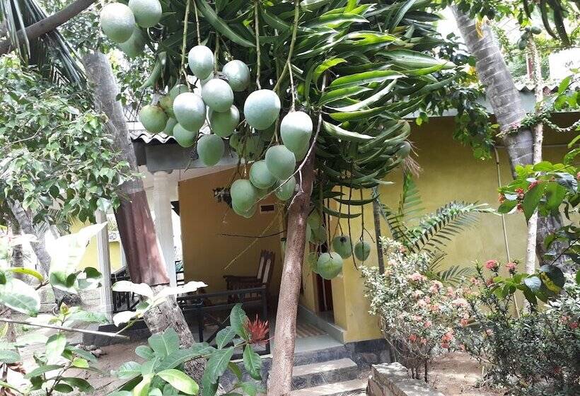 Fotos del hotel Traveller S Home:  11