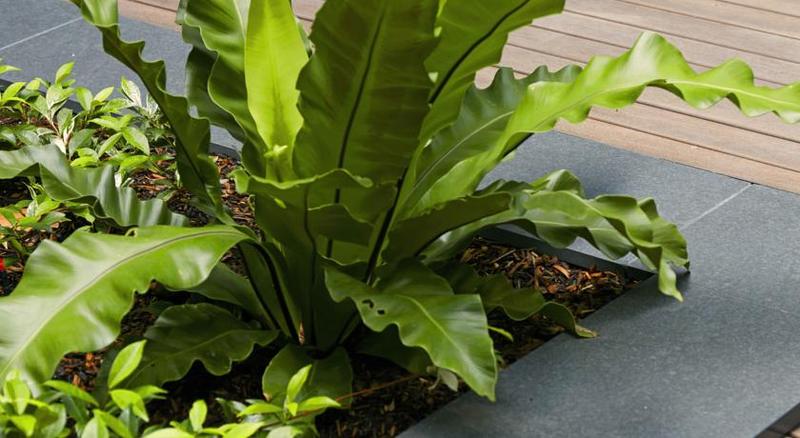 Fotos del hotel Veriu Camperdown:  4