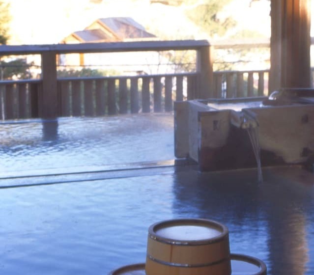 Fotos del hotel Manza Onsen Nisshinkan:  13