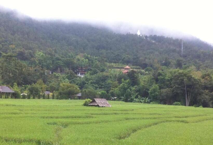 Fotos del hotel Chang Pai Hill  Adults Only:  10