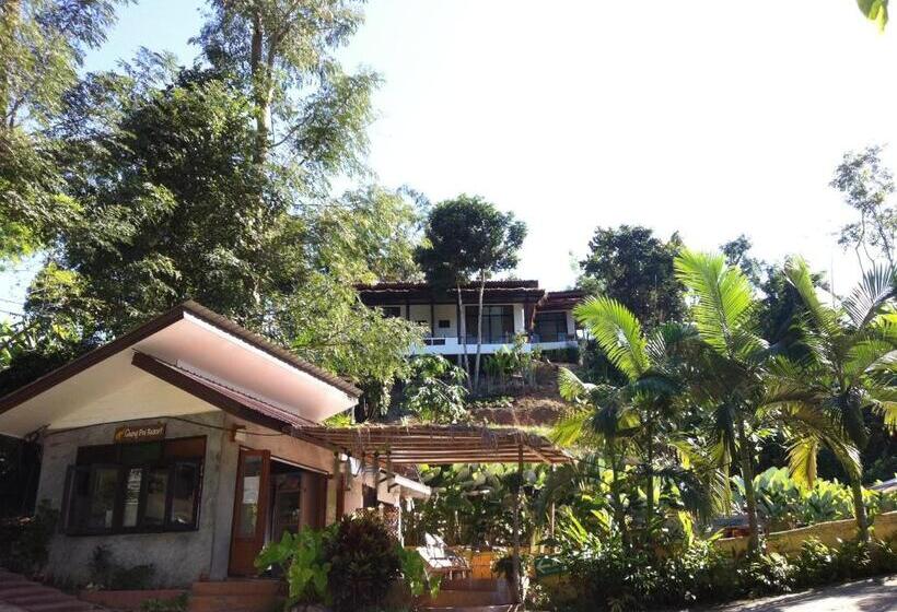 Fotos del hotel Chang Pai Hill  Adults Only:  24