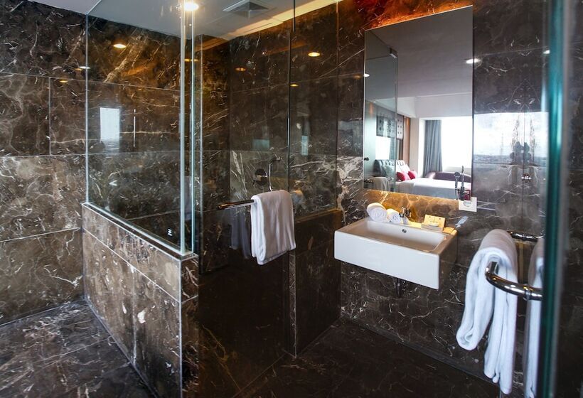 Fotos del hotel Demelia:  5