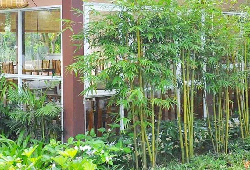 Fotos del hotel Santa Garden Resort:  25