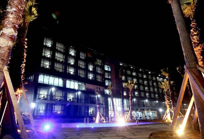 Fotos del hotel Tamna Stay  Jeju:  2