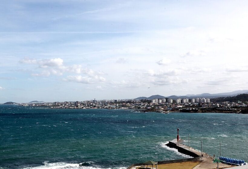 Fotos del hotel Tamna Stay  Jeju:  14