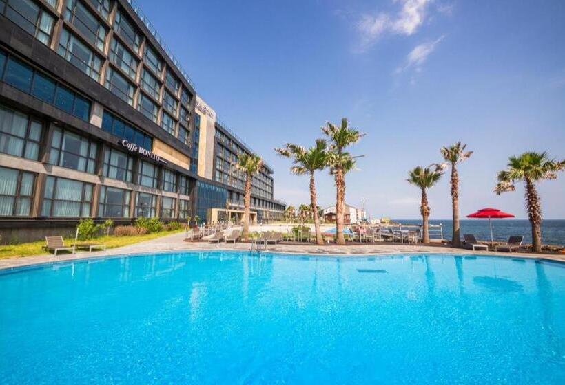 Fotos del hotel Tamna Stay  Jeju:  25