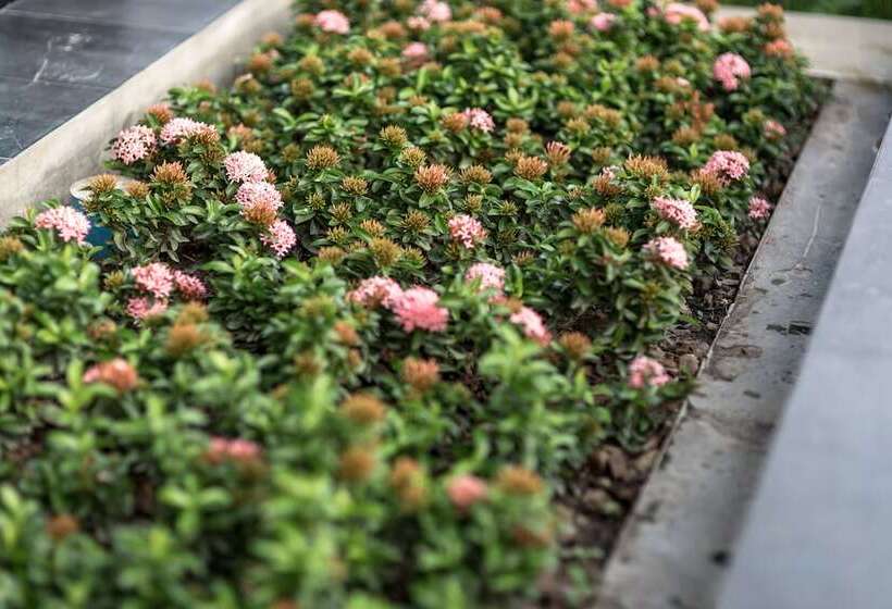 Fotos del hotel Hyde Park Chiangmai:  7