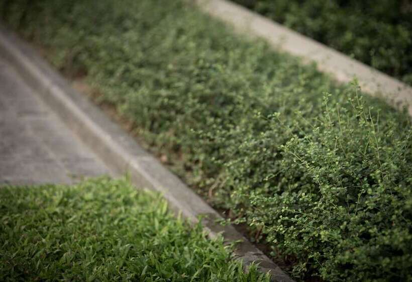 Fotos del hotel Hyde Park Chiangmai:  12