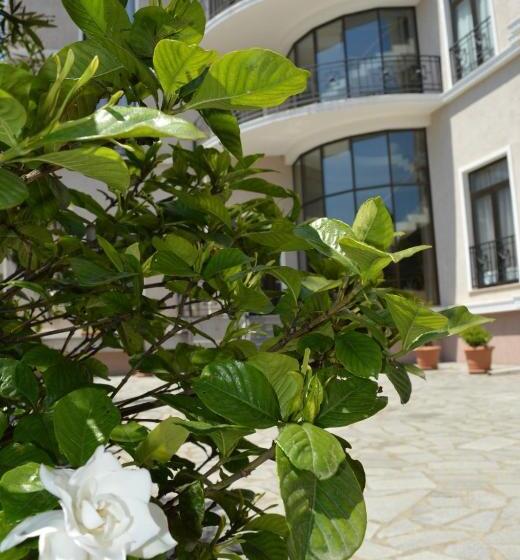 Fotos del hotel Boutique  Argo:  5