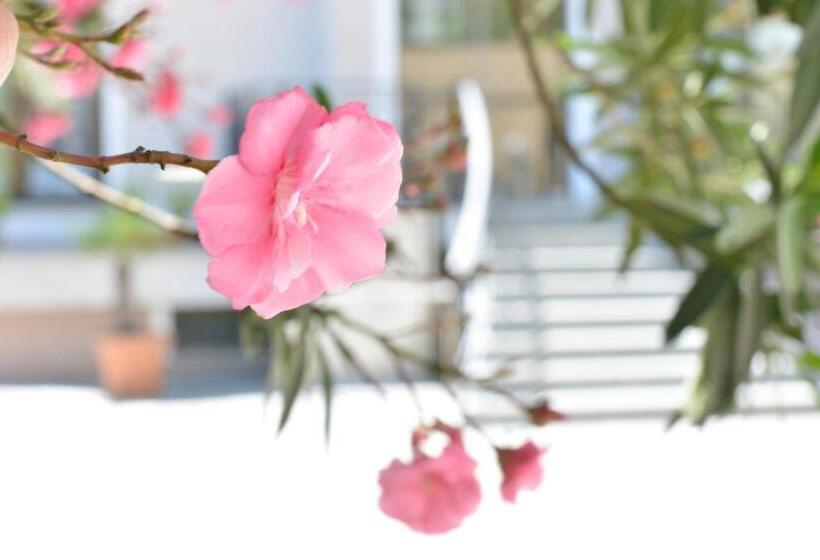 Fotos del hotel Boutique  Argo:  25