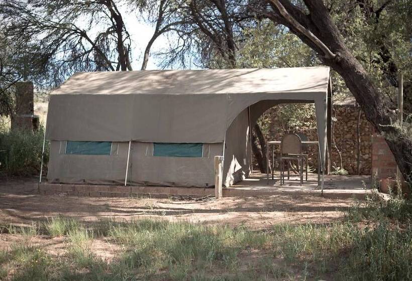 Fotos del hotel Sweet Thorn Retreat Airport Lodge:  15