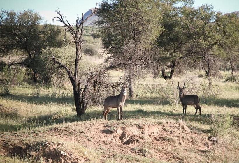 Fotos del hotel Sweet Thorn Retreat Airport Lodge:  9