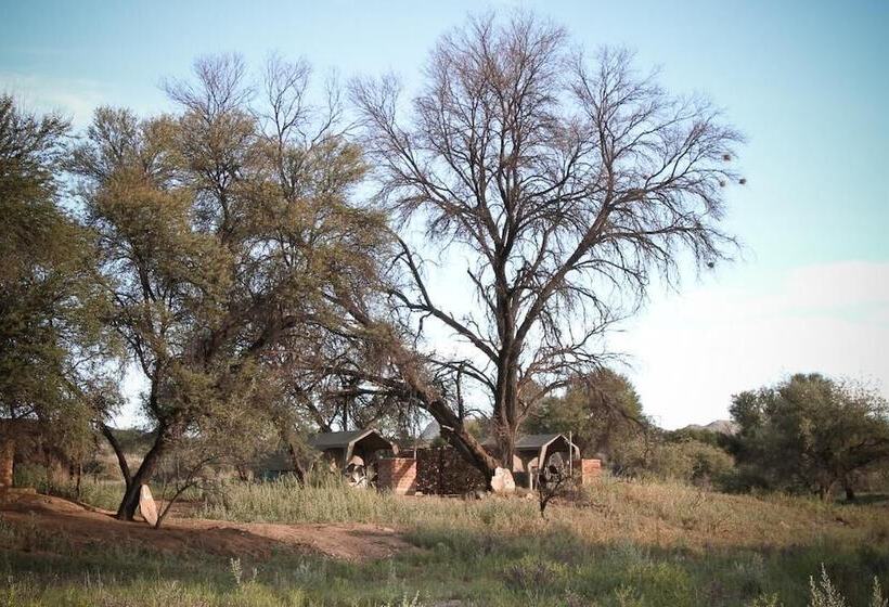 Fotos del hotel Sweet Thorn Retreat Airport Lodge:  5