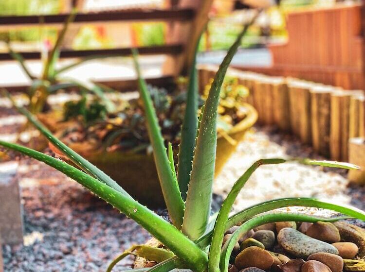 Fotos del hotel Cala D Or Buzios:  5