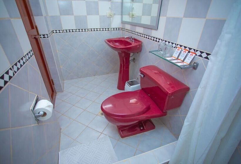 Fotos del hotel Centenario Inn:  3