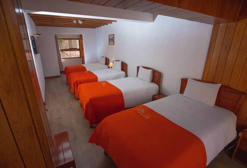 Fotos del hotel Centenario Inn:  16