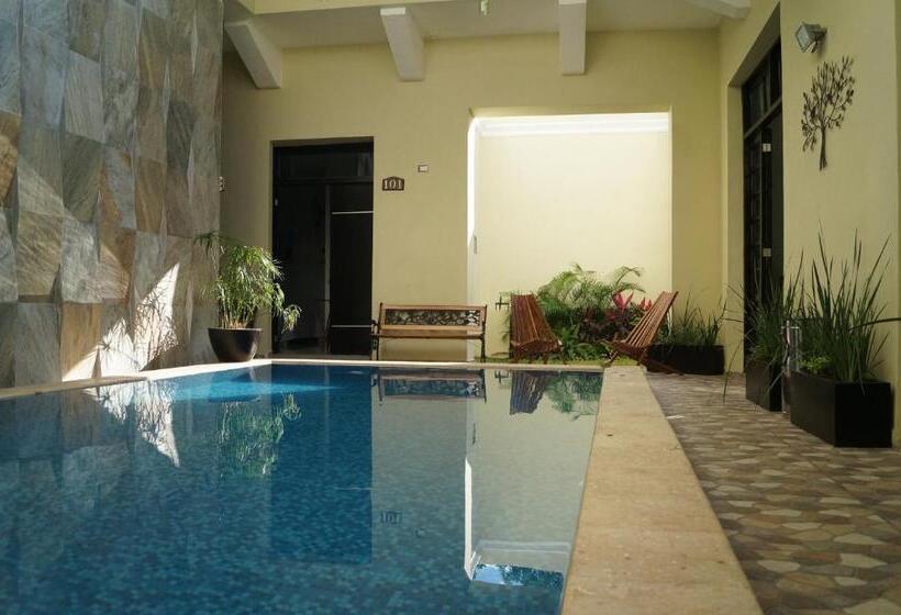 Fotos del hotel Casa Palomino:  19