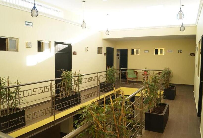 Fotos del hotel Casa Palomino:  10