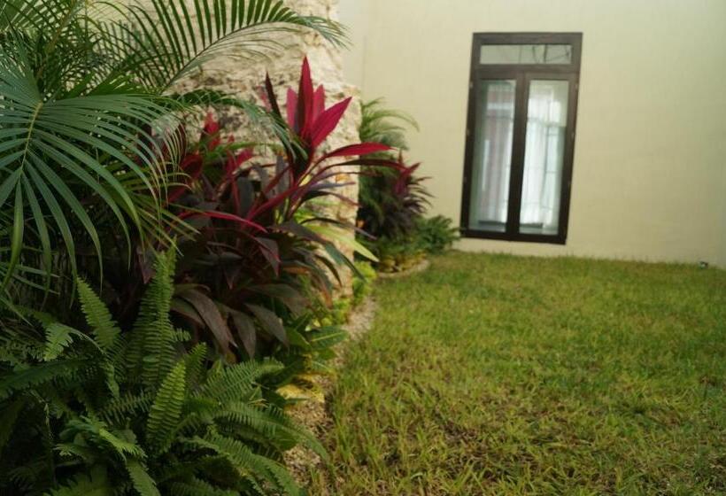 Fotos del hotel Casa Palomino:  20