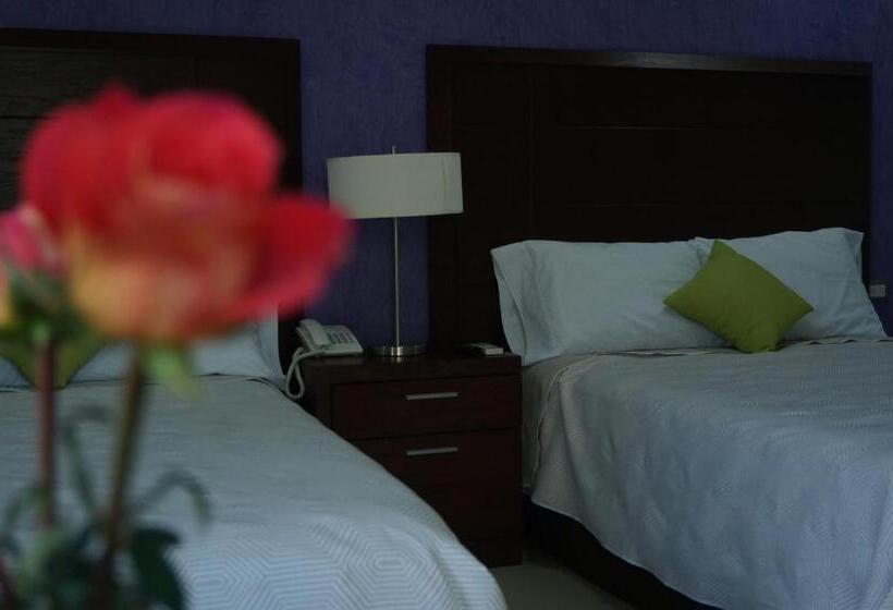 Fotos del hotel Casa Palomino:  18