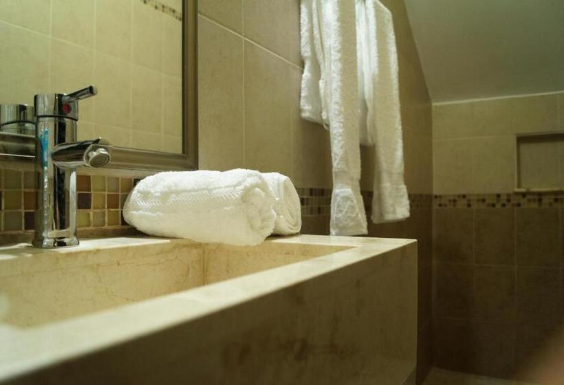 Fotos del hotel Casa Palomino:  6