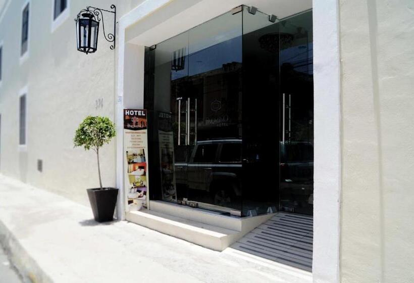 Fotos del hotel Casa Palomino:  11